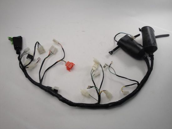 Picture of Wire harness Hanway HS125 125cc 